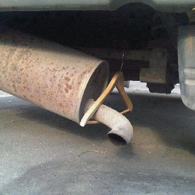 bue53.jpg