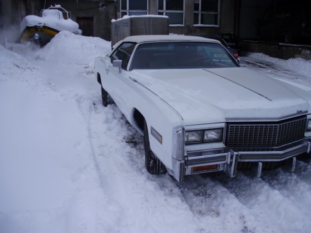 esimesedsammud [640x480].JPG