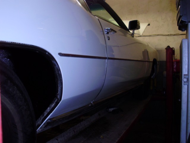 liistud2 [640x480].JPG